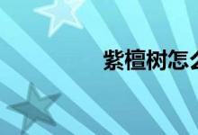 紫檀樹怎么養(yǎng)（長得快）