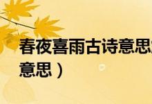 春夜喜雨古詩意思解釋簡單（春夜喜雨 古詩意思）
