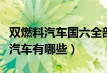 雙燃料汽車國六全部車型（國六標準的雙燃料汽車有哪些）