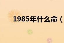1985年什么命（1985年具體什么命）