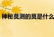 神秘莫測(cè)的莫是什么意思（神秘莫測(cè)的含義）