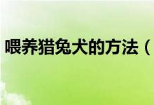 喂養(yǎng)獵兔犬的方法（喂養(yǎng)獵兔犬的方法簡(jiǎn)述）