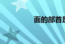 面的部首是(面的部首)