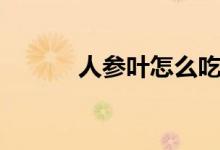 人參葉怎么吃（人參葉的吃法）