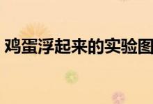 雞蛋浮起來的實(shí)驗(yàn)圖片（雞蛋浮起來的實(shí)驗(yàn)）