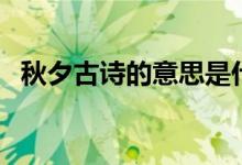秋夕古詩(shī)的意思是什么（秋夕古詩(shī)的意思）