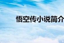 悟空傳小說簡介（悟空傳小說介紹）