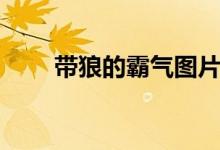 帶狼的霸氣圖片（帶狼的霸氣名字）