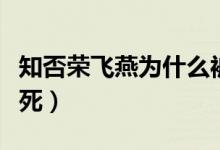 知否榮飛燕為什么被擄走（知否榮飛燕為什么死）