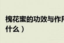 槐花蜜的功效與作用（槐花蜜的功效與作用是什么）