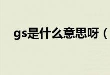 gs是什么意思呀（gs是什么意思醫(yī)學上）
