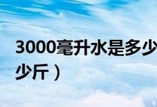 3000毫升水是多少瓶裝水（3000毫升水是多少斤）