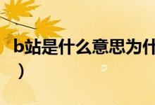 b站是什么意思為什么叫b站（b站是什么意思）