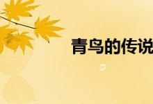 青鳥的傳說（青鳥的含義）