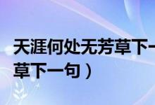 天涯何處無芳草下一句搞笑版（天涯何處無芳草下一句）