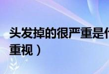 頭發(fā)掉的很嚴(yán)重是什么原因引起的（需要引起重視）
