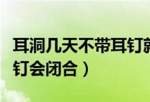 耳洞幾天不帶耳釘就長住了（耳洞幾天不帶耳釘會閉合）