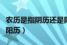 農(nóng)歷是指陰歷還是陽(yáng)歷呀（農(nóng)歷是指陰歷還是陽(yáng)歷）