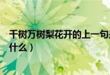 千樹萬樹梨花開的上一句是啥（千樹萬樹梨花開的上一句是什么）