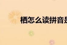 棲怎么讀拼音是什么（棲怎么讀）
