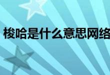 梭哈是什么意思網(wǎng)絡(luò)用語（梭哈是什么意思）