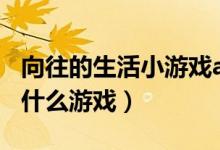 向往的生活小游戲abcd（向往的生活abcd是什么游戲）