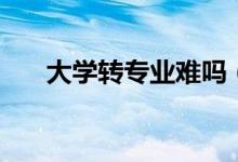 大學(xué)轉(zhuǎn)專業(yè)難嗎（轉(zhuǎn)專業(yè)有哪些流程）