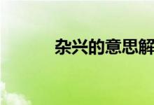 雜興的意思解釋（雜興的意思）