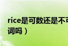 rice是可數(shù)還是不可數(shù)名詞呢（rice是可數(shù)名詞嗎）