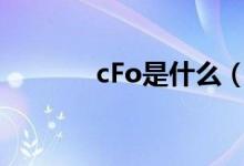 cFo是什么（cfo華為是什么）