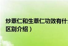 炒薏仁和生薏仁功效有什么不同（關于炒薏仁和生薏仁功效區(qū)別介紹）