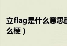 立flag是什么意思翻譯（立flag是什么意思什么梗）