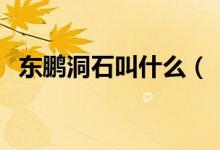 東鵬洞石叫什么（“世界洞石”震驚世界）