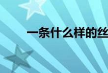 一條什么樣的絲巾（一條什么填空）