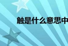 觸是什么意思中文（觸是什么意思）