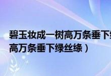 碧玉妝成一樹高萬條垂下綠絲絳是什么意思（碧玉妝成一樹高萬條垂下綠絲絳）