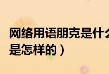 網(wǎng)絡(luò)用語朋克是什么意思(音樂中的朋克風(fēng)格是怎樣的)