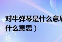 對牛彈琴是什么意思猜一個生肖（對牛彈琴是什么意思）