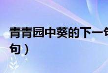 青青園中葵的下一句是啥（青青園中葵的下一句）