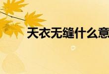 天衣無縫什么意思（天衣無縫解釋）