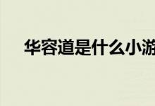 華容道是什么小游戲（hrd是什么職位）
