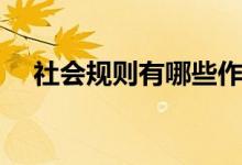 社會規(guī)則有哪些作用（社會規(guī)則有哪些）