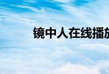 鏡中人在線播放（鏡中人打一字）