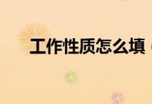 工作性質怎么填（工作性質怎么填寫）