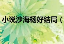 小說沙海楊好結局（沙海楊好哪一章出現(xiàn)的）