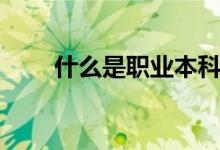 什么是職業(yè)本科（畢業(yè)是什么文憑）
