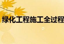 綠化工程施工全過程詳解（綠化工程賺錢嗎）