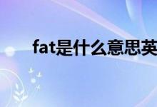 fat是什么意思英語(yǔ)（fat是什么意思）