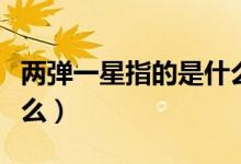 兩彈一星指的是什么視頻（兩彈一星指的是什么）