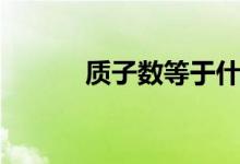 質(zhì)子數(shù)等于什么（質(zhì)子數(shù)等于）